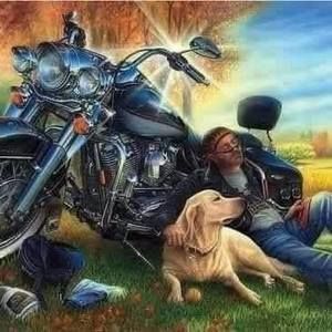 Meet your Posher, Mark